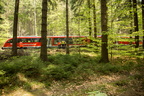 140430 Bahn (4)
