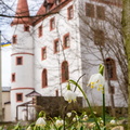 150414 Schloss (1)