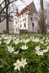 150414 Schloss (3)