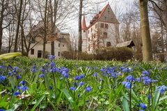 150414 Schloss (4)