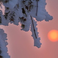 140325 Sonnenuntergang (4).jpg